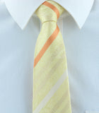 Striped Paisley